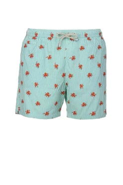 Costume Uomo Fantasia Polipi e Righe