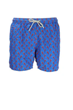 Costume Uomo Pappagalli MC2