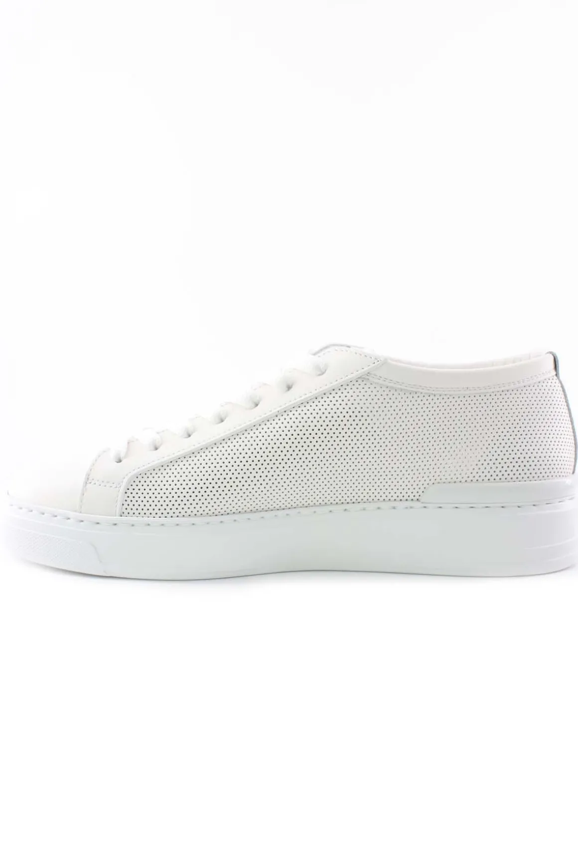 Scarpe sneakers Challenge